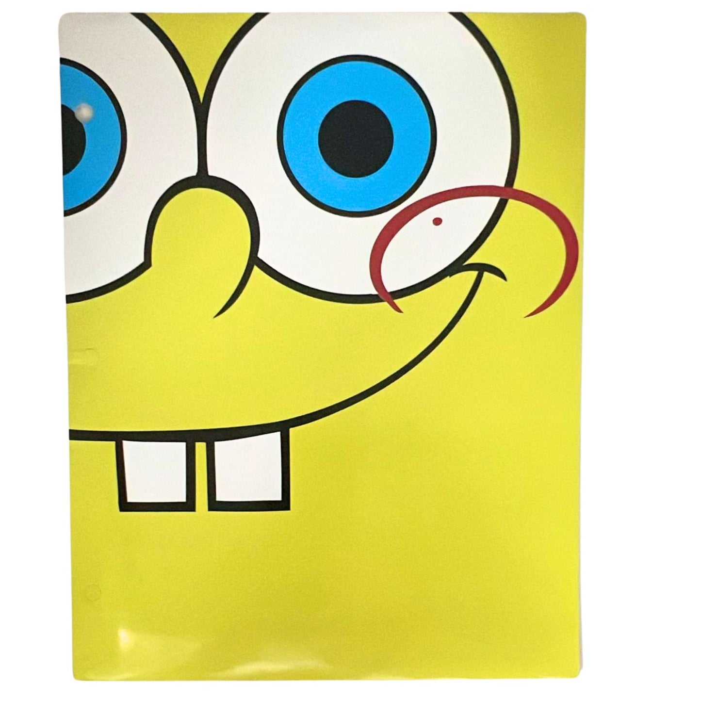 Nickelodeon Pocket File Folders