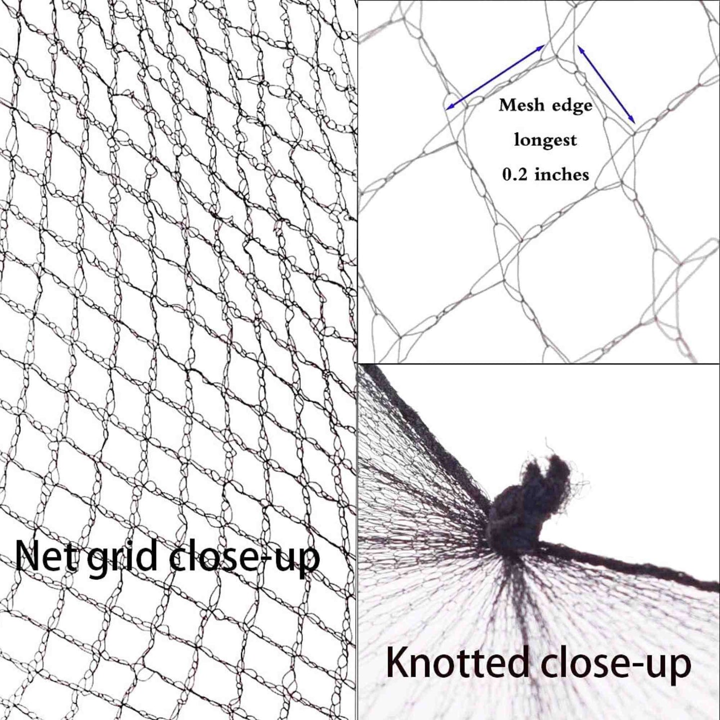 French Mesh Hair Ne