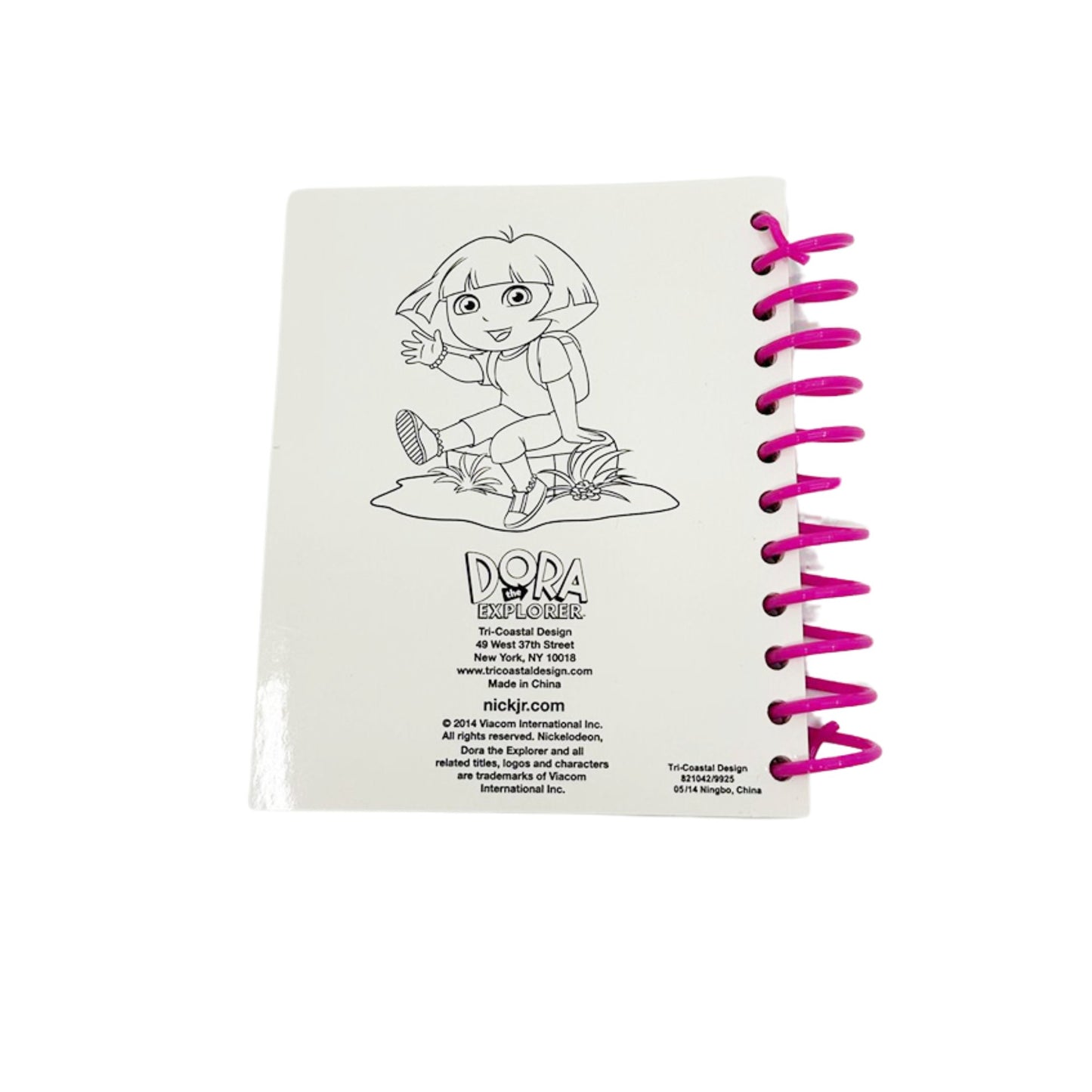 Holographic Spiral Dora the Explorer Rules Notebook