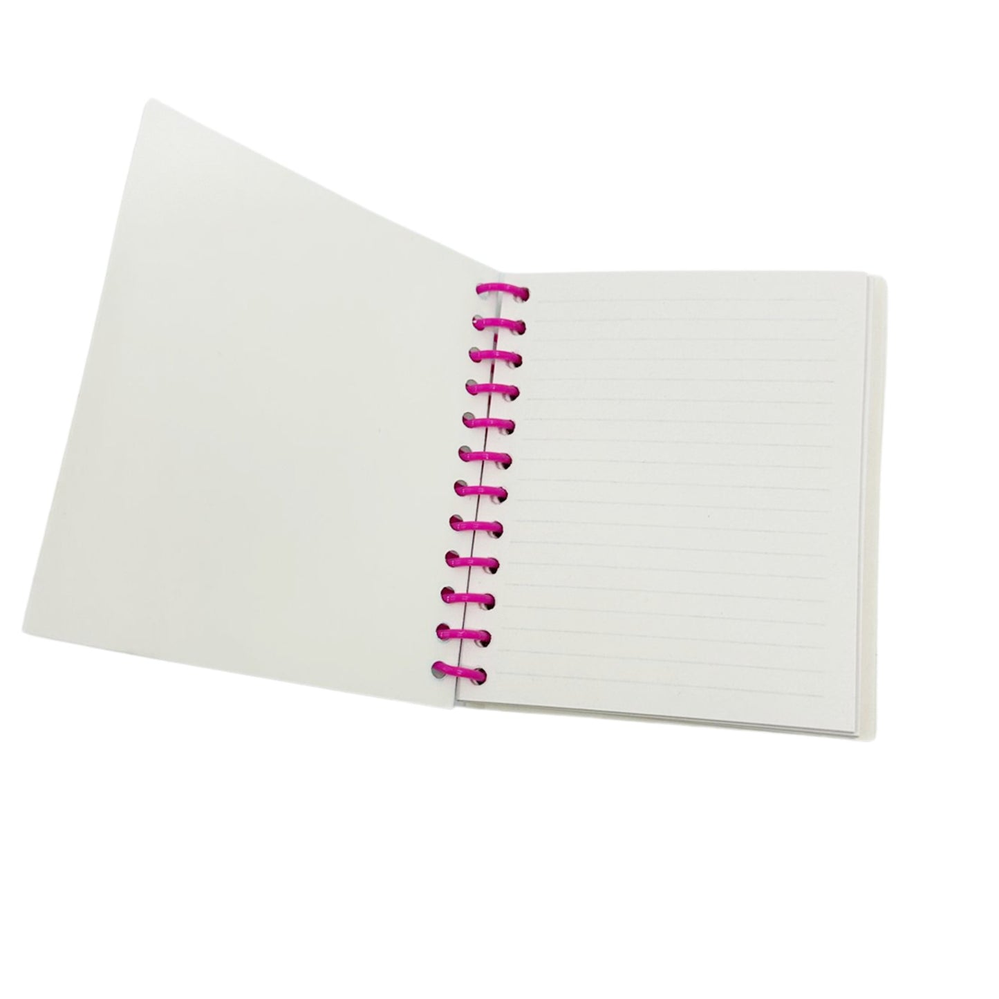 Holographic Spiral Dora the Explorer Rules Notebook