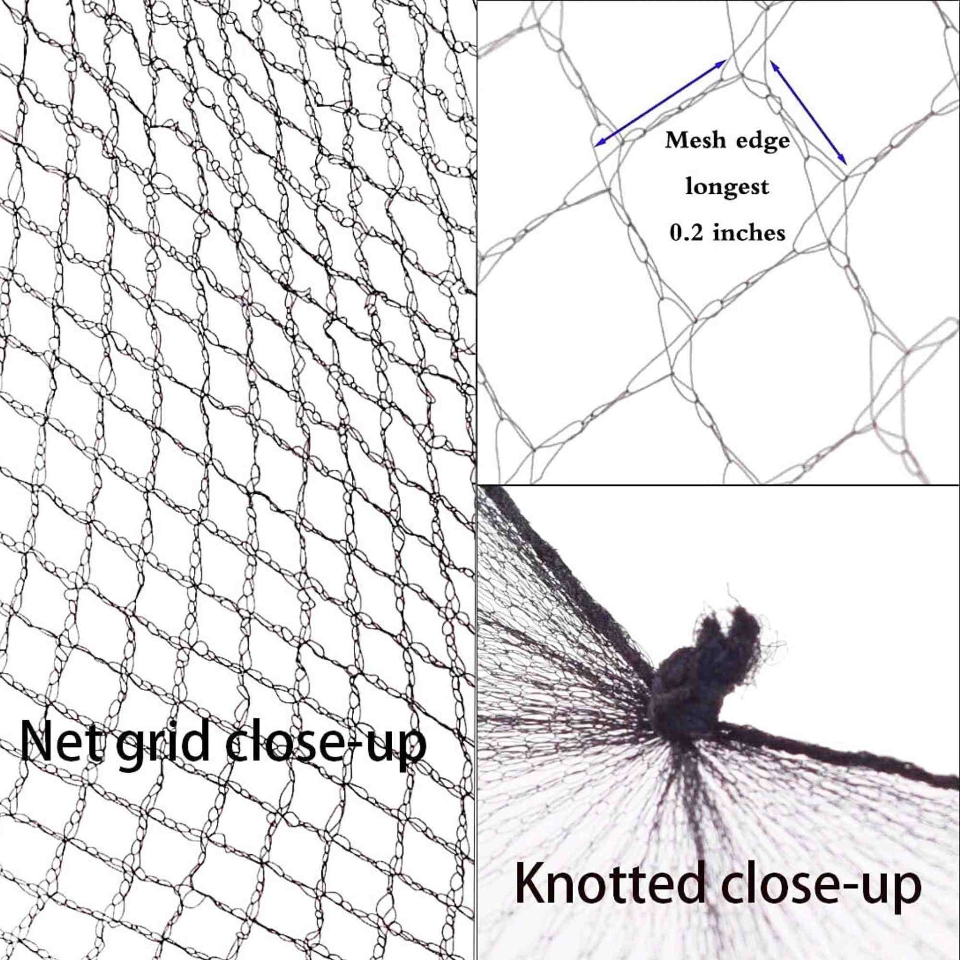 French Mesh Hair Ne