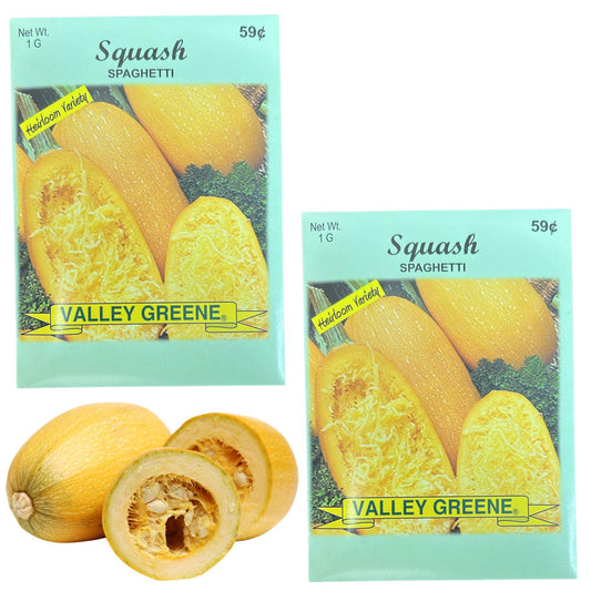 Valley Greene 1G Squash Spaghetti Seeds